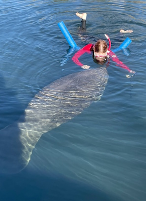 Guests enjoying a semi-private manatee tour